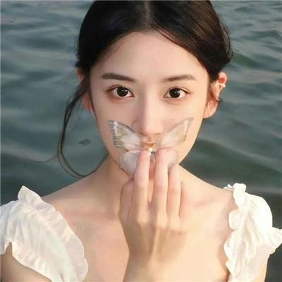 蜜蜂的秘密生活